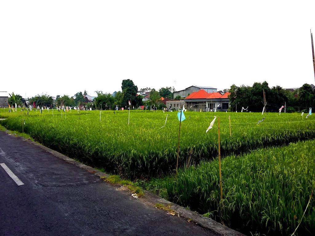 RedDoorz At Kerobokan Seminyak 2 Luaran gambar